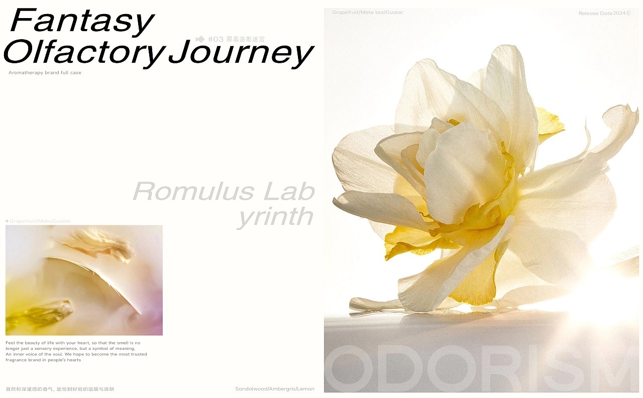 ODORISM气味主义®+香薰包装+东方秘境的深邃低语+广州-不眠虎工作室+[38P]+(15).jpg