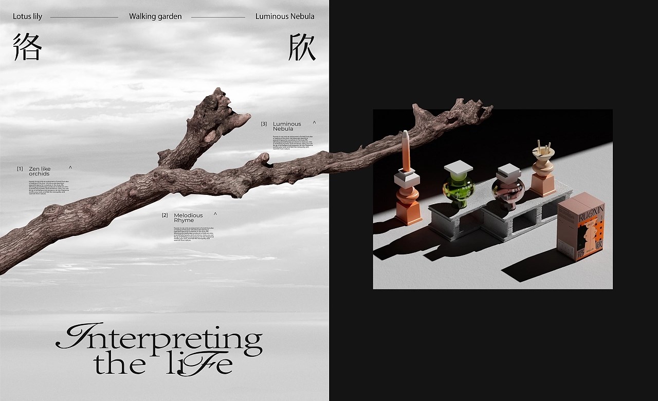 洛欣香薰香水品牌包装全案+LOGO+包装+天津-卢帅品牌设计+[29P]+(12).jpg