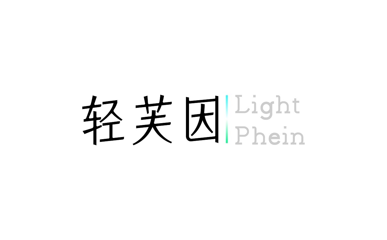 字体标志设计Typeface+Design+枣庄-或执_DE+[25P]+(6).jpg