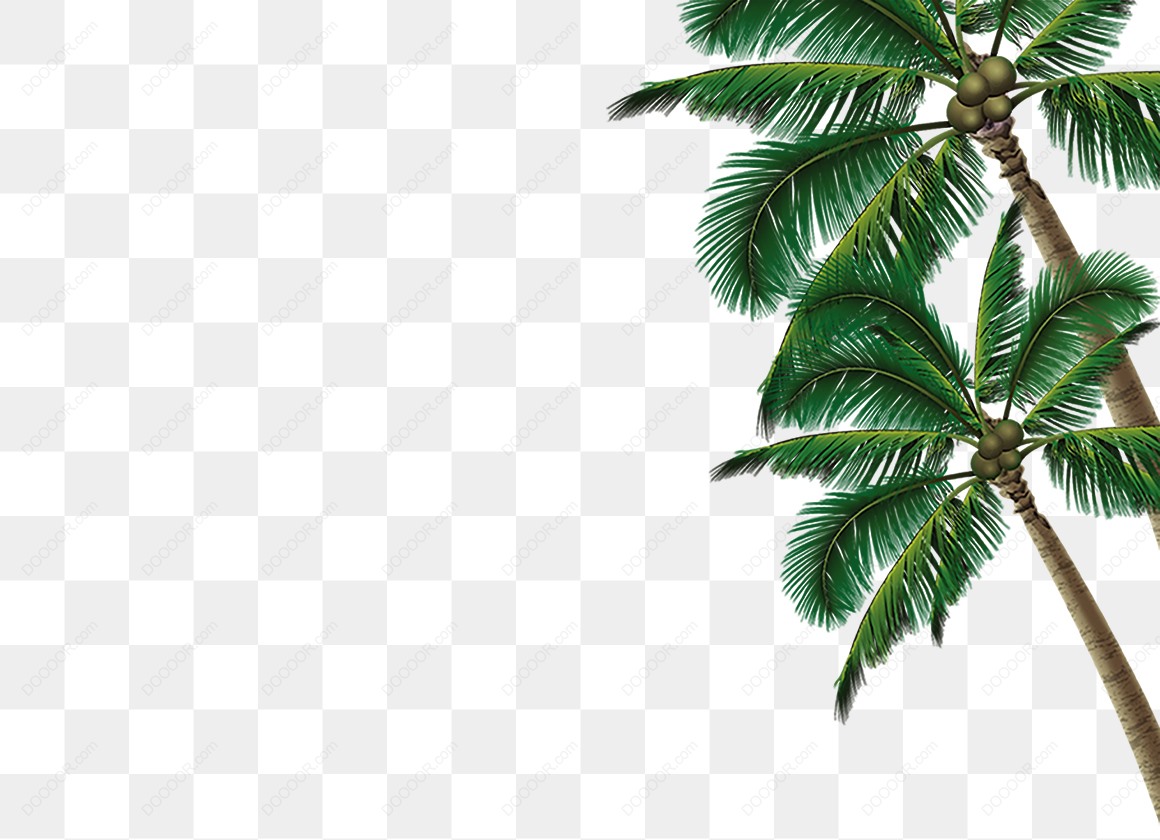 13816_椰子树夏日绿色植物免抠PNG-02.jpg