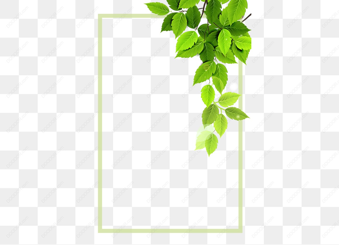 13829_绿草背景长方形边框透明PNG.jpg