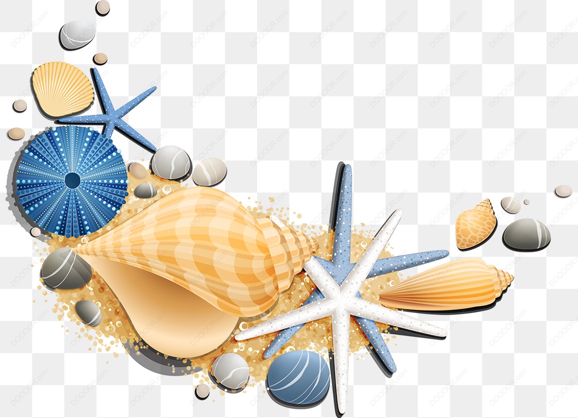 13890_贝壳海星暑假夏季海滩.jpg