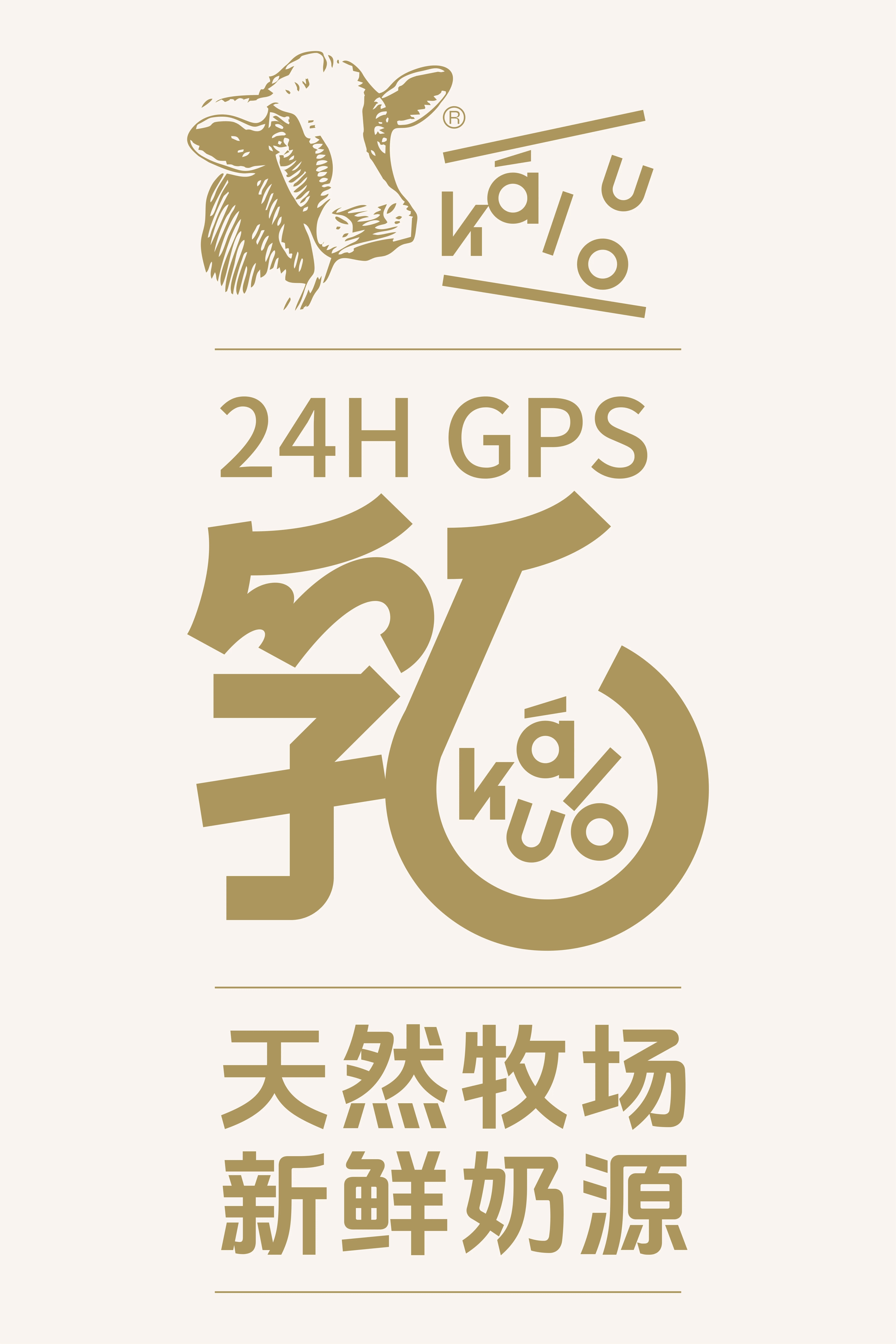 kalou丨牛乳茶包装设计-4.jpg