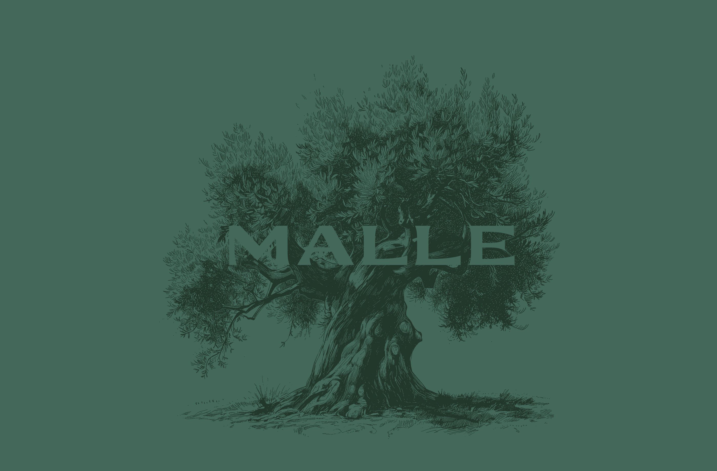 malle——品牌识别和包装设计-11.jpg
