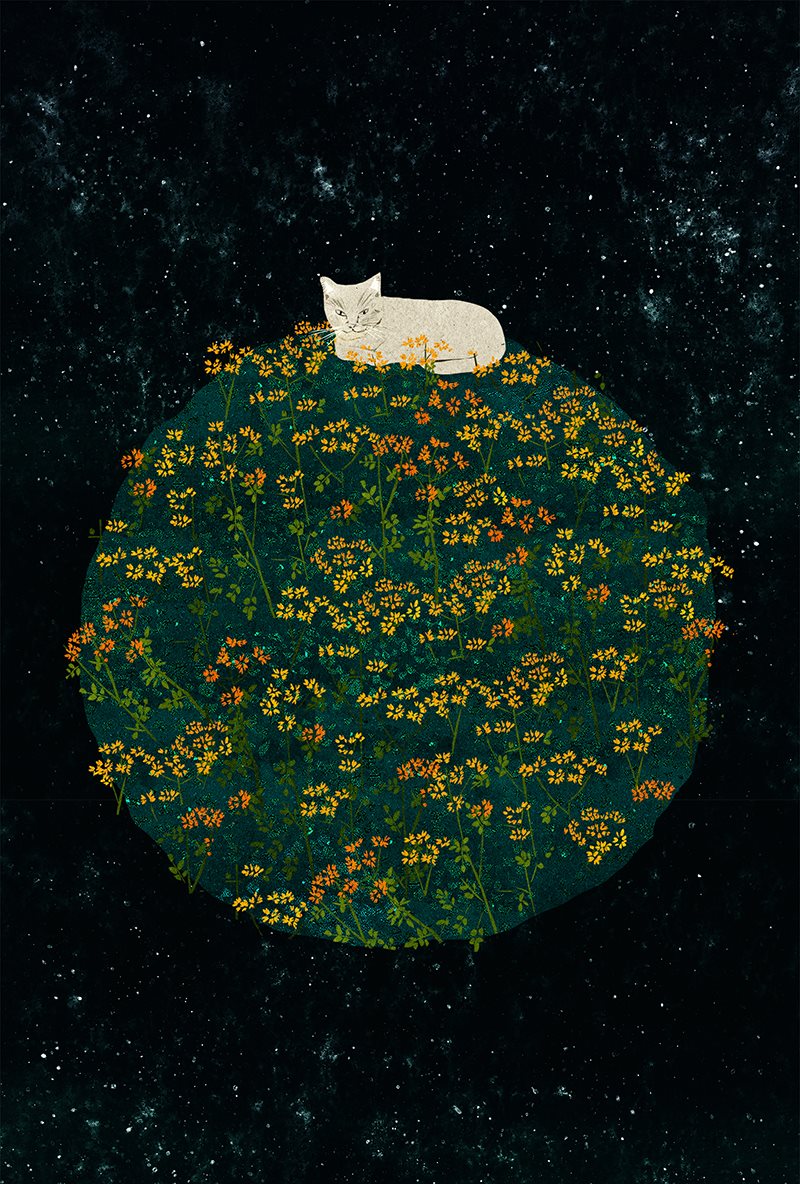 可爱猫猫插画-16.jpg