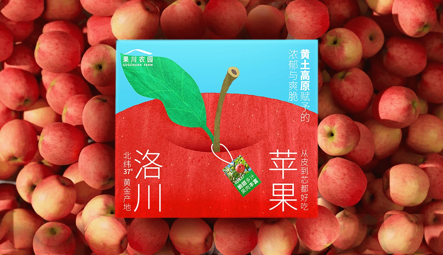 「洛川苹果」插画&amp;包装设计-3.jpg