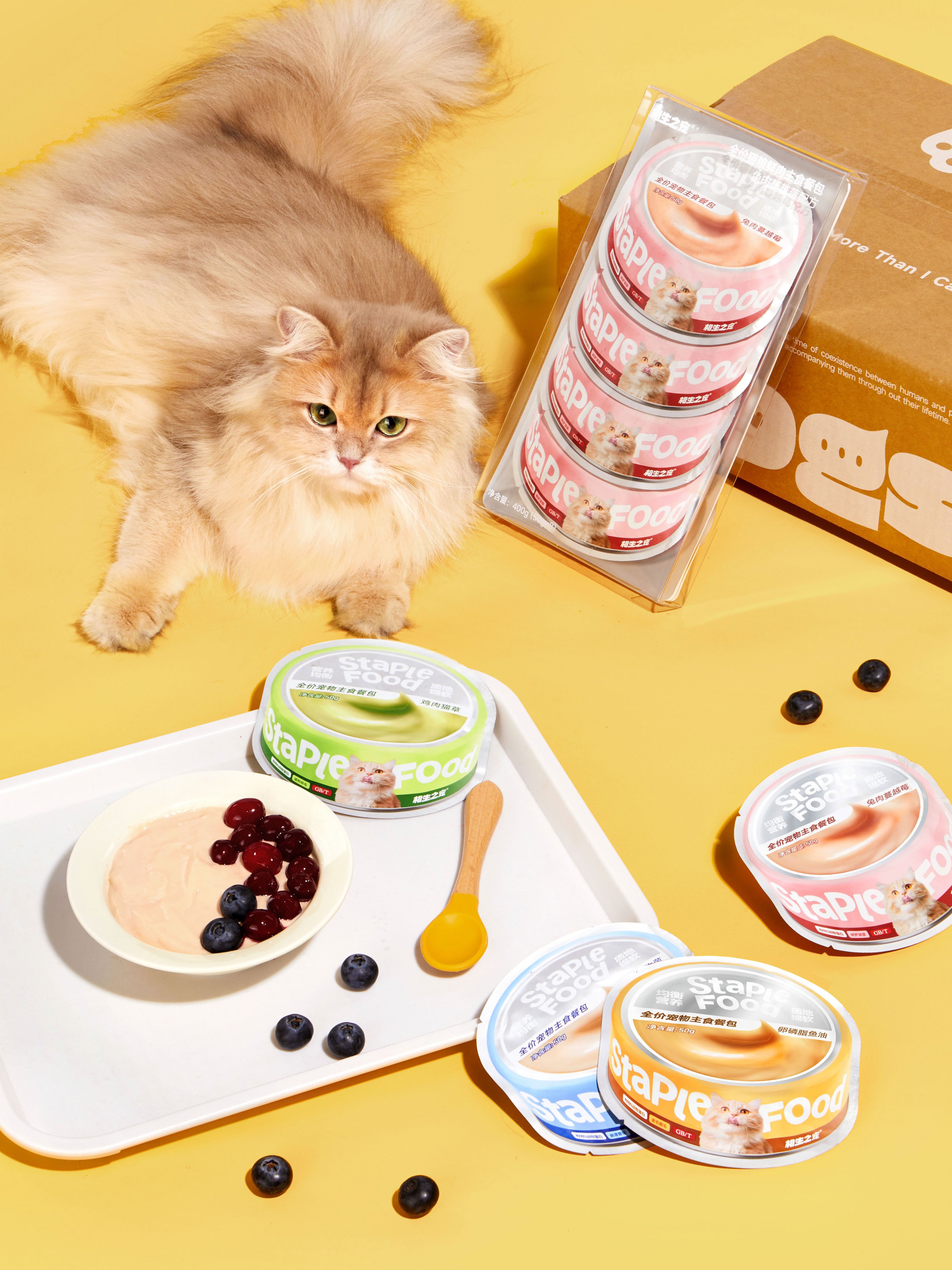宠物主食猫餐包（软罐头）设计-08.jpg
