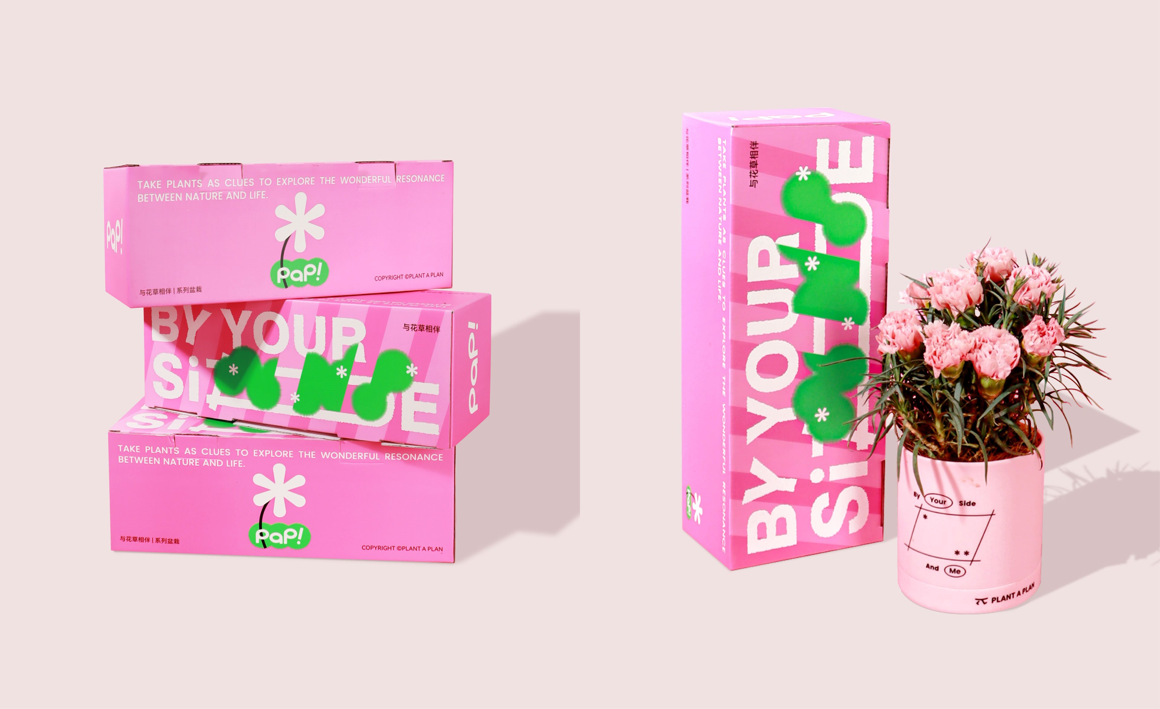 自然轻生活产品包装设计合集-11.jpg