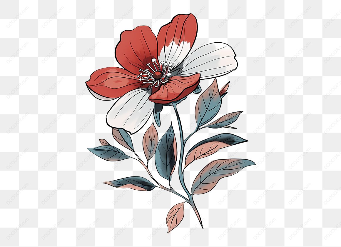 14032_红白色花朵插画.jpg