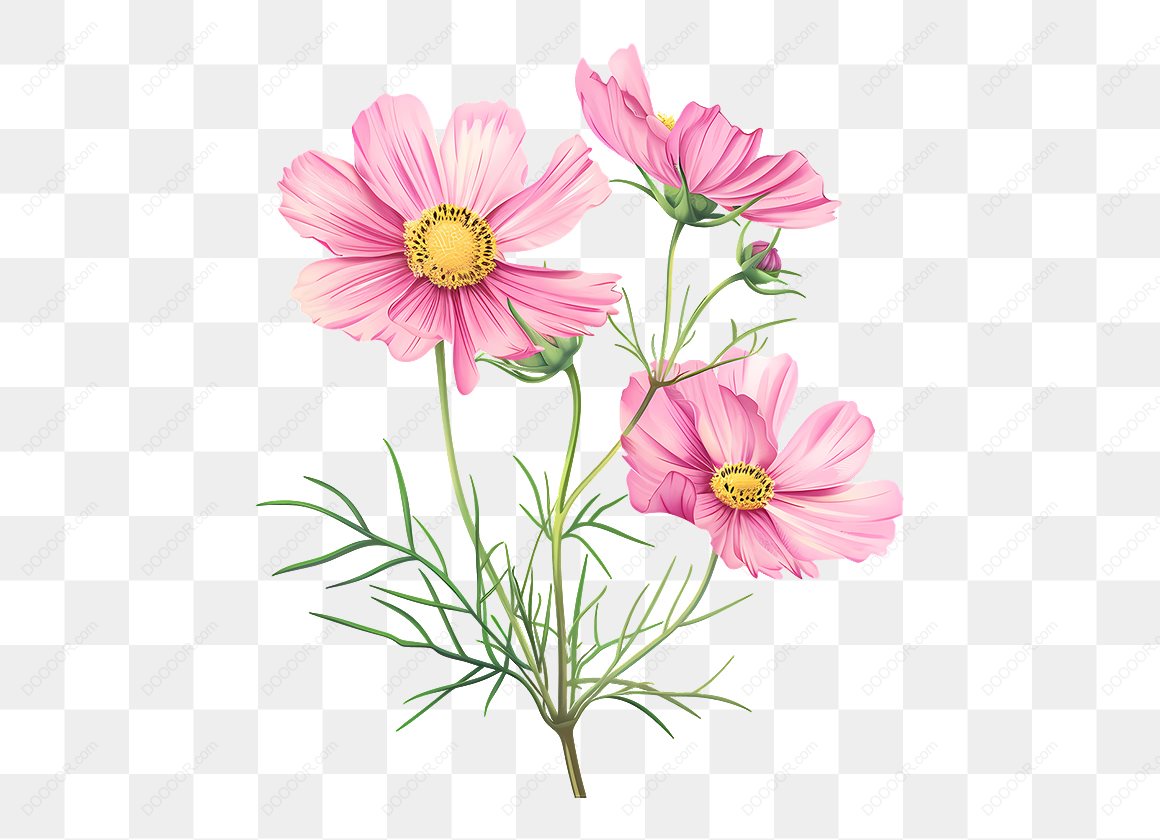 14034_粉色的花朵和绿色茎.jpg