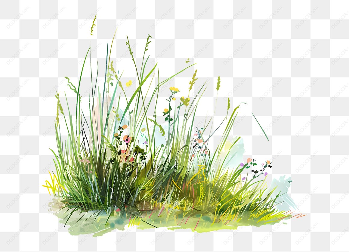 14069_草丛和野花插画.jpg