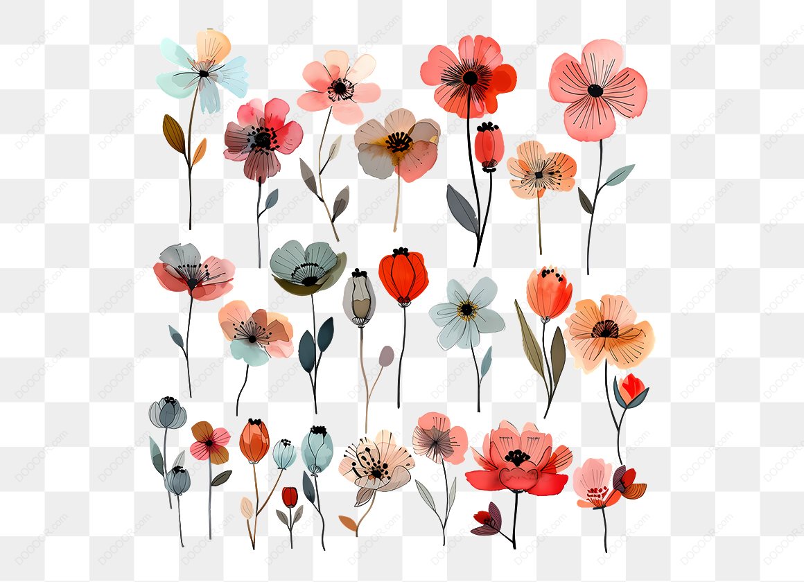 14090_多种彩色花朵插图.jpg