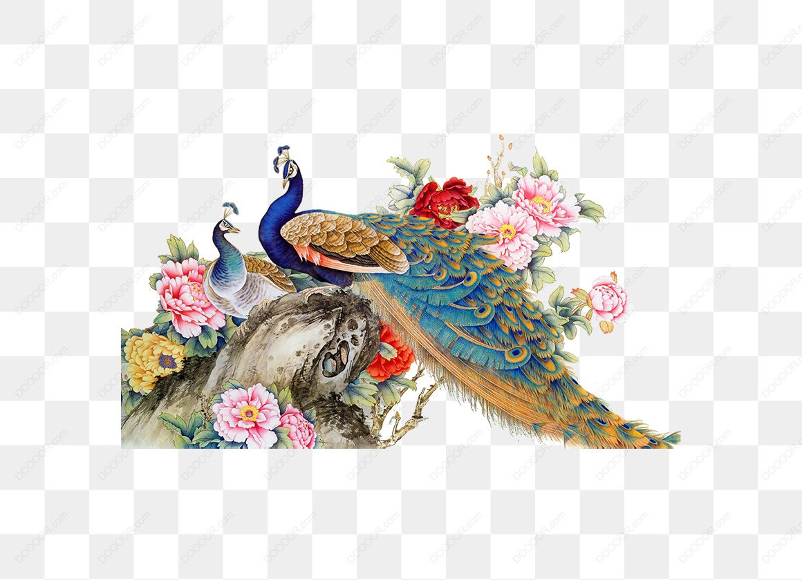 12479_孔雀与牡丹花图.jpg