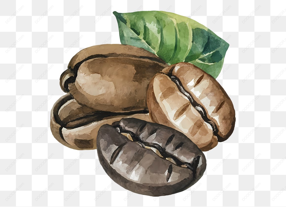 12552_咖啡豆和叶子插画-1.jpg