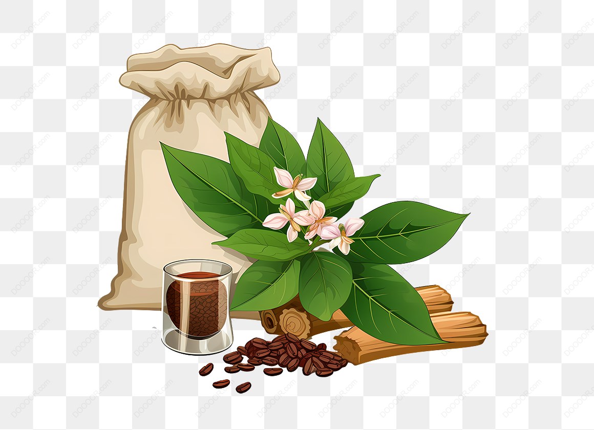12575_咖啡豆与植物插图.jpg