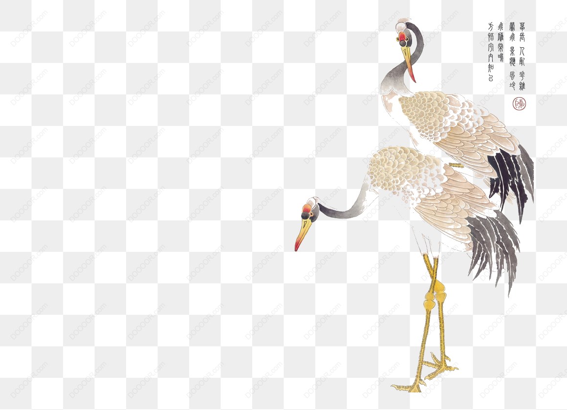 12688_两只丹顶鹤插画.jpg
