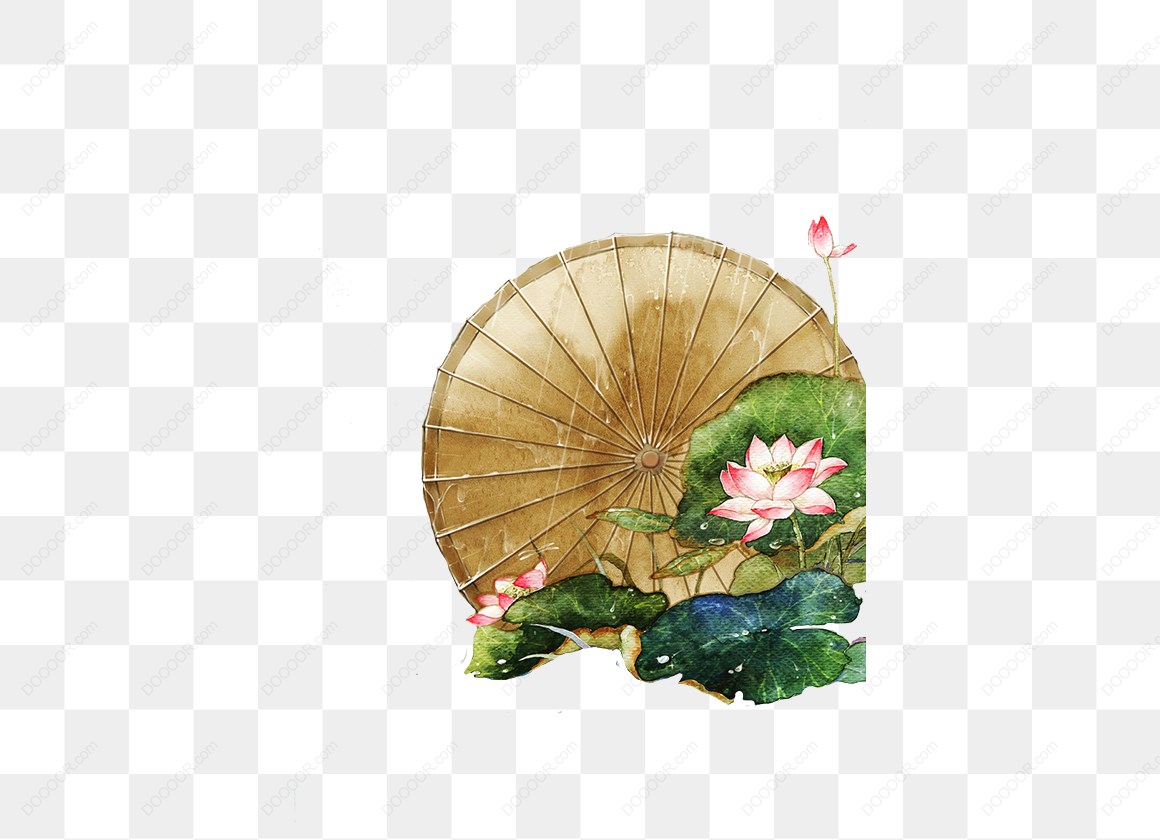 12712_荷花和纸伞插画.jpg