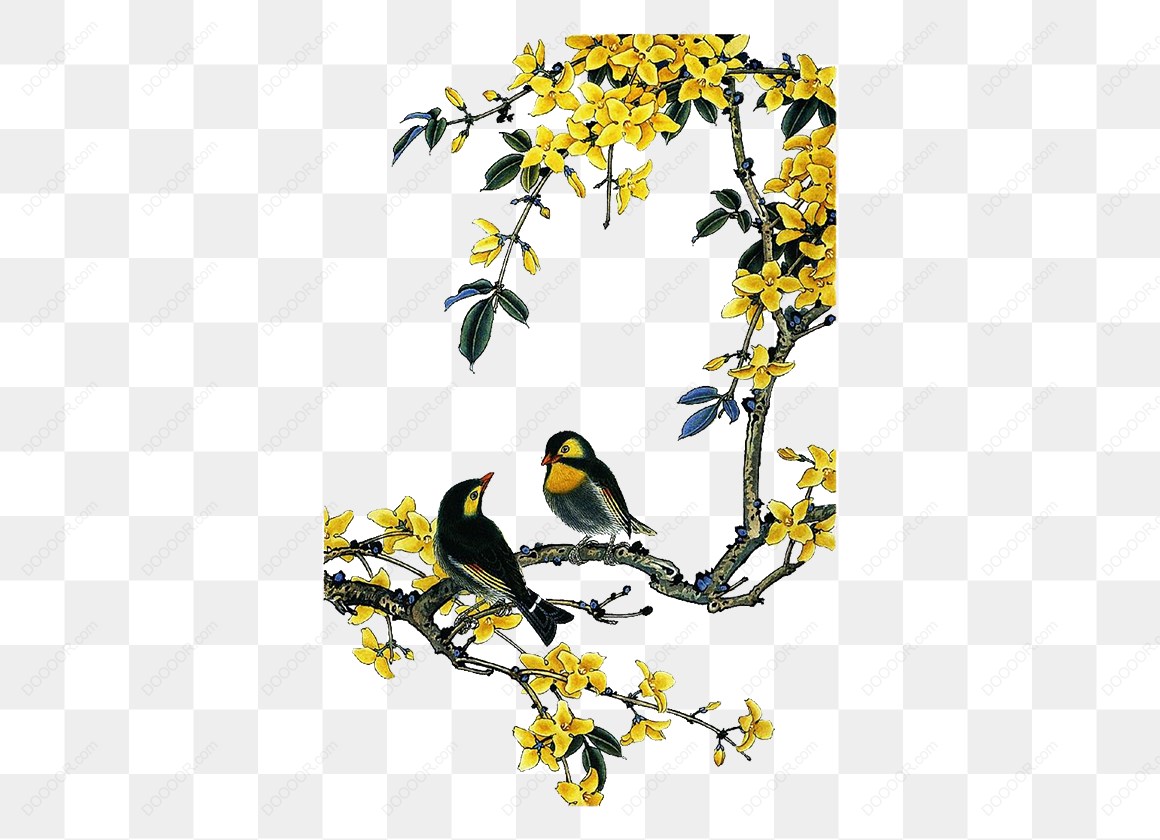 12718_鸟儿与黄色花朵.jpg