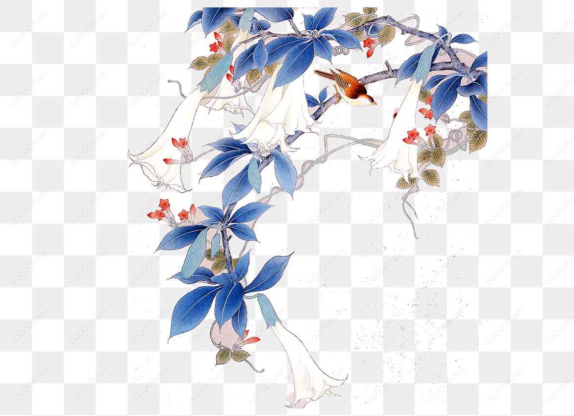 12717_花卉与鸟的插画.jpg