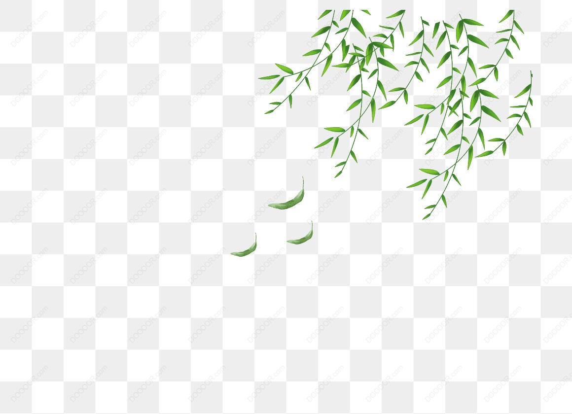 12729_绿色竹叶背景图案.jpg