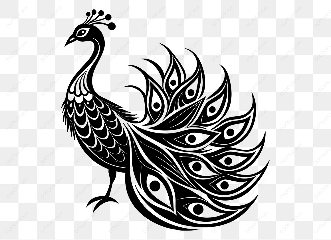 14685_黑白孔雀插图设计.jpg