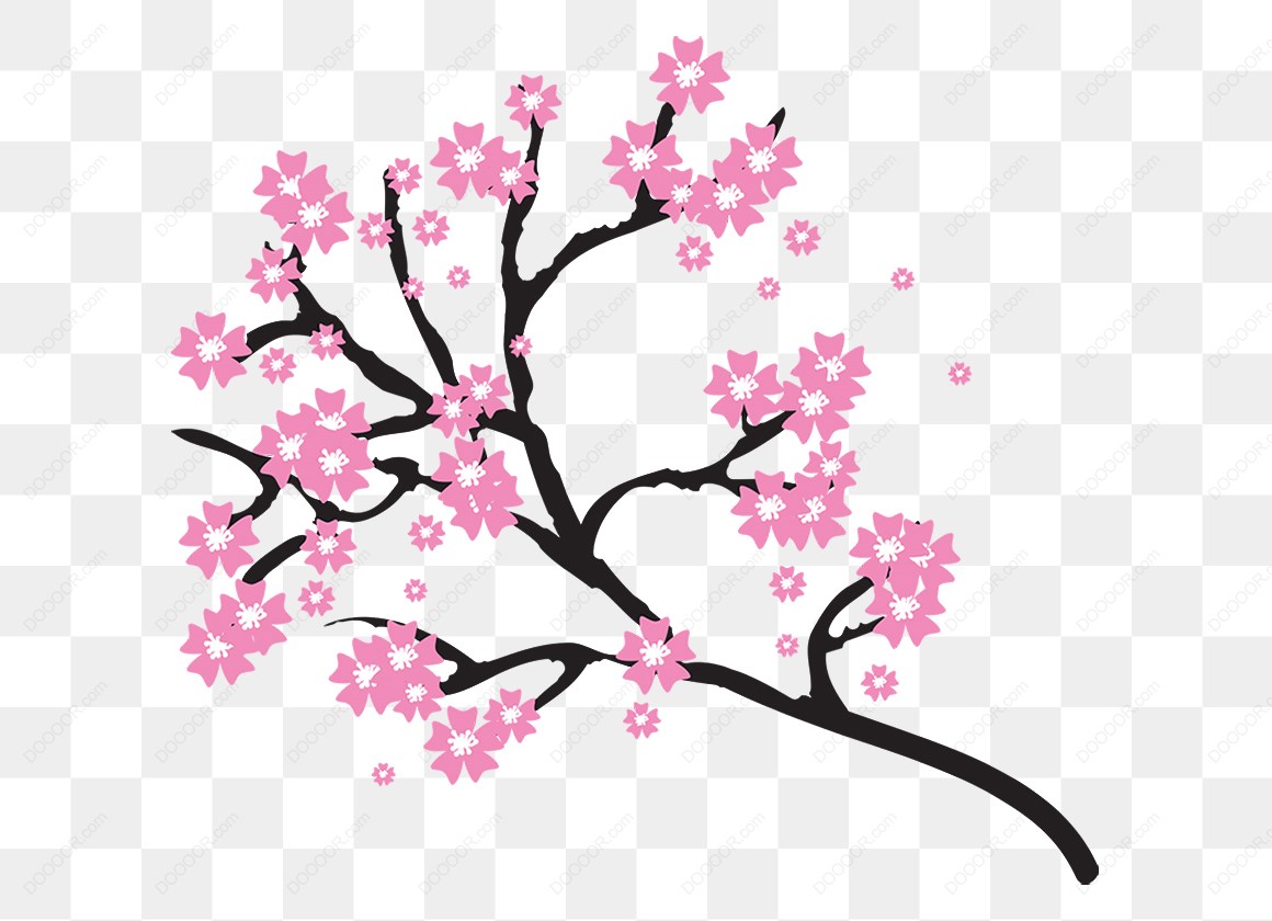 14853_粉色樱花树枝插图.jpg