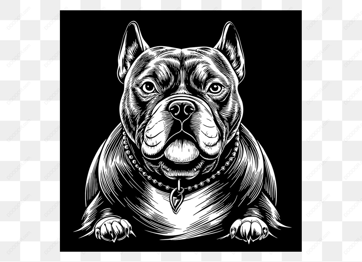 14894_黑白插画中的斗牛犬.jpg