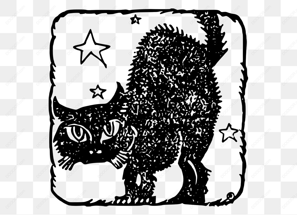 14914_黑猫与星星图案.jpg
