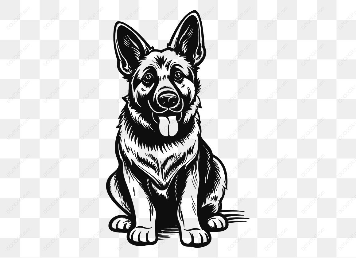 15045_坐着的德国牧羊犬插图.jpg