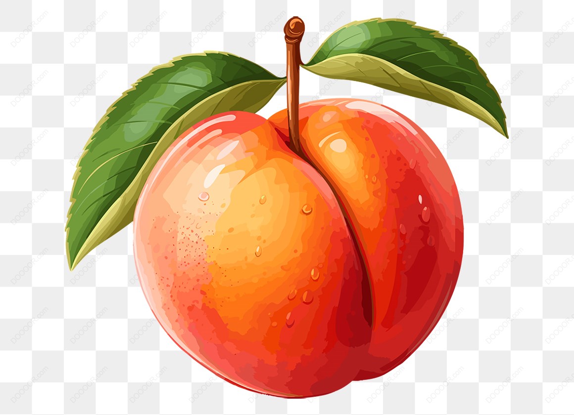 15326_桃子插图.jpg