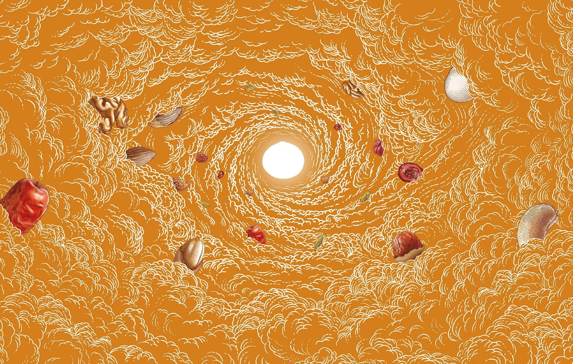 三只松鼠丨坚果礼盒插画包装设计-09.jpg