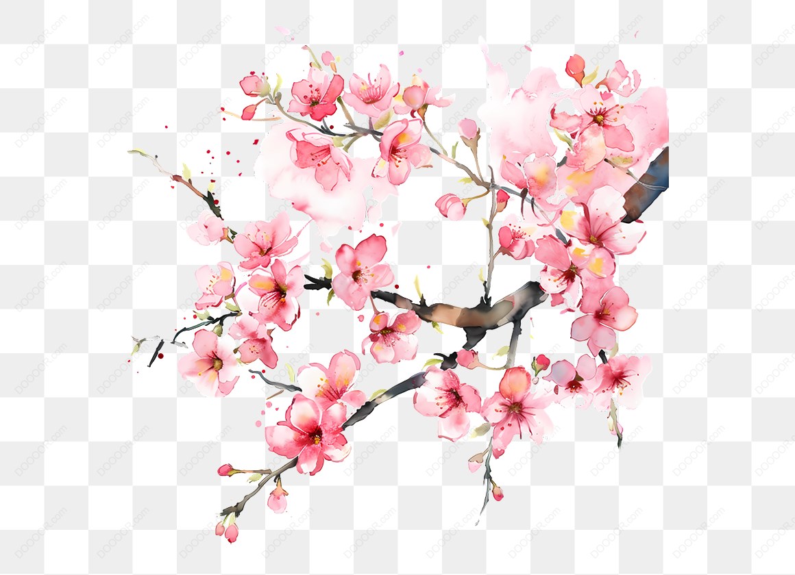 15738_粉色樱花插图.jpg