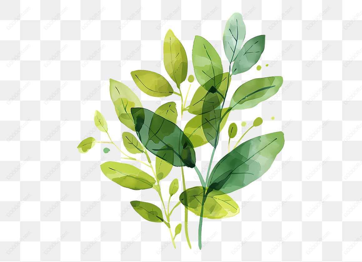 16076_水彩风格的绿色植物插画.jpg