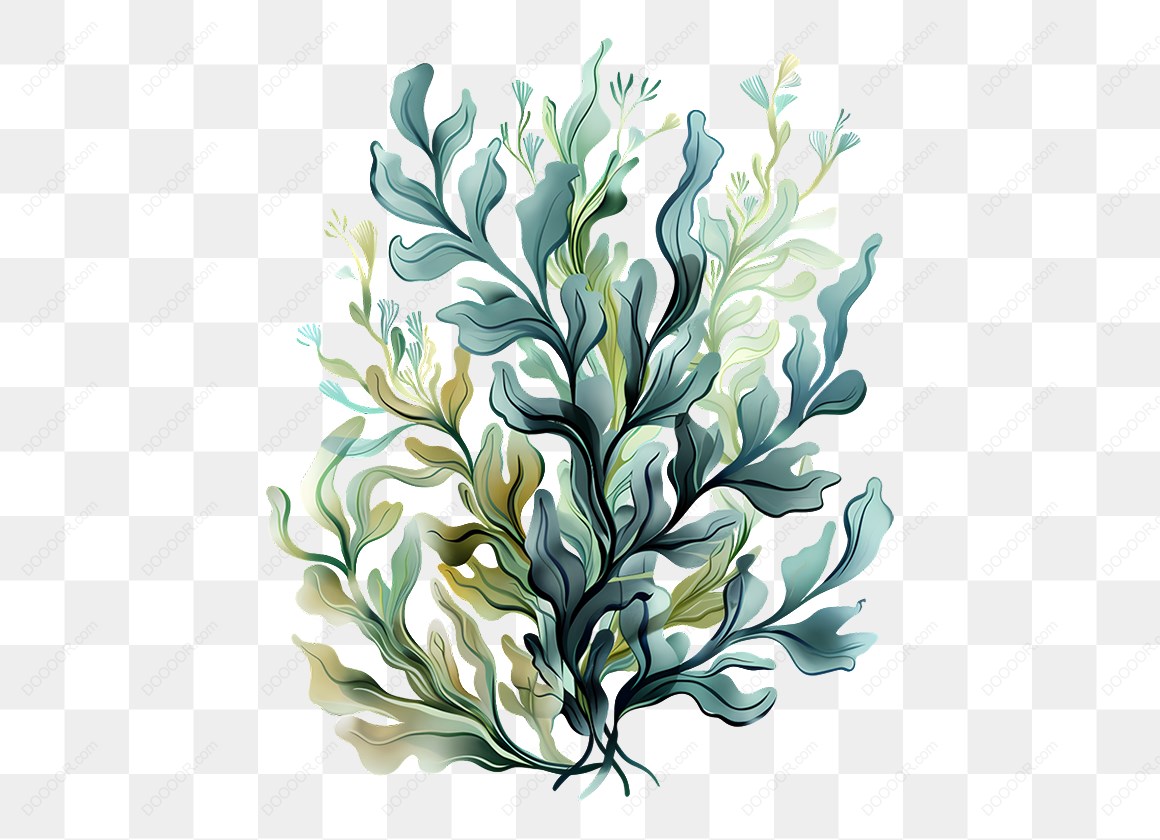 16240_抽象风格的植物插图.jpg