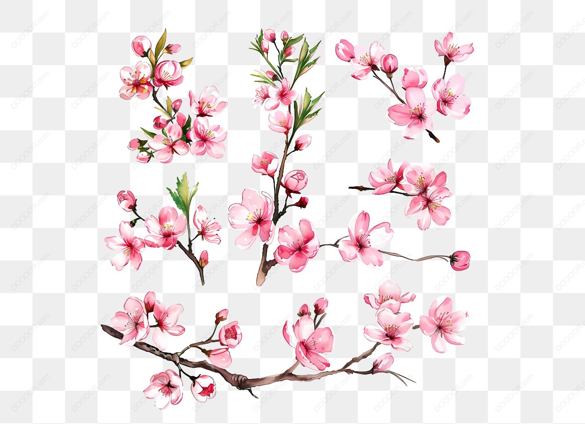10007_粉色樱花插图集合.jpg