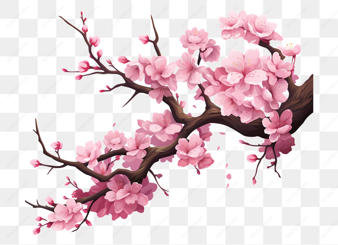 10066_粉色樱花树枝插图.jpg