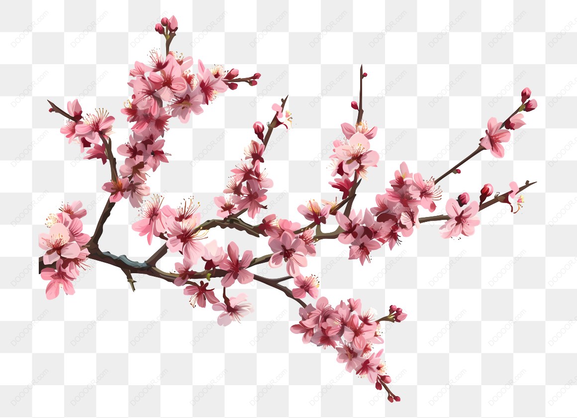 10084_粉色樱花树枝.jpg