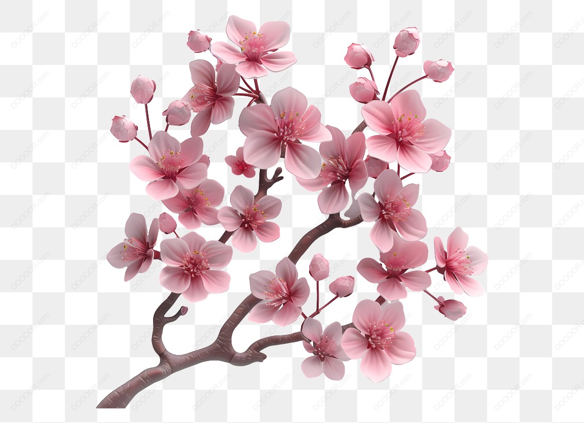 10138_粉色樱花树枝-2.jpg