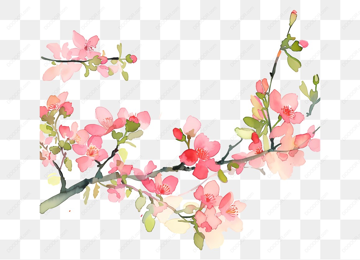 10156_粉色樱花插图-3.jpg