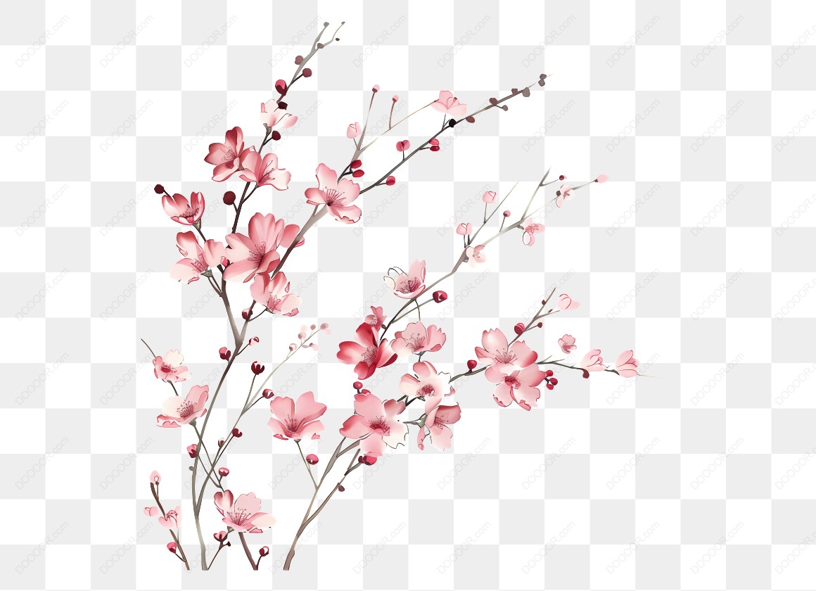 10203_粉色樱花插图-4.jpg