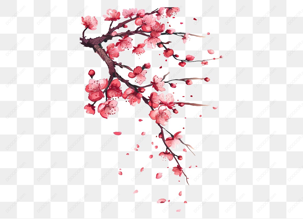 10205_樱花树枝与花瓣.jpg