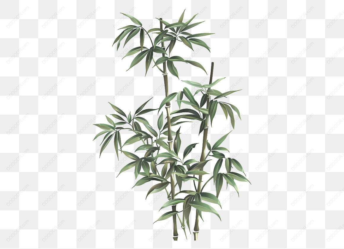 10364_竹子插图设计图案.jpg