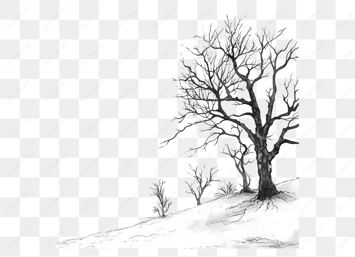 10556_雪地上的枯树.jpg