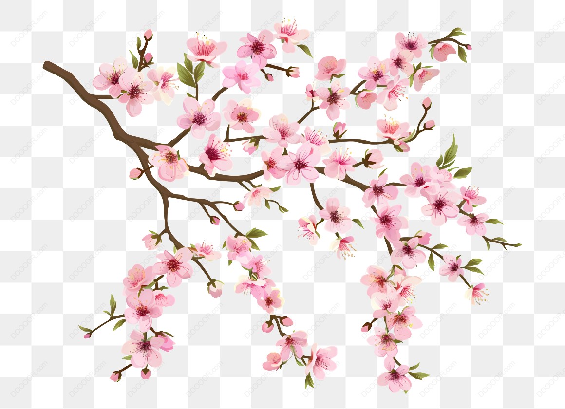 10557_粉色樱花树枝插图-3.jpg