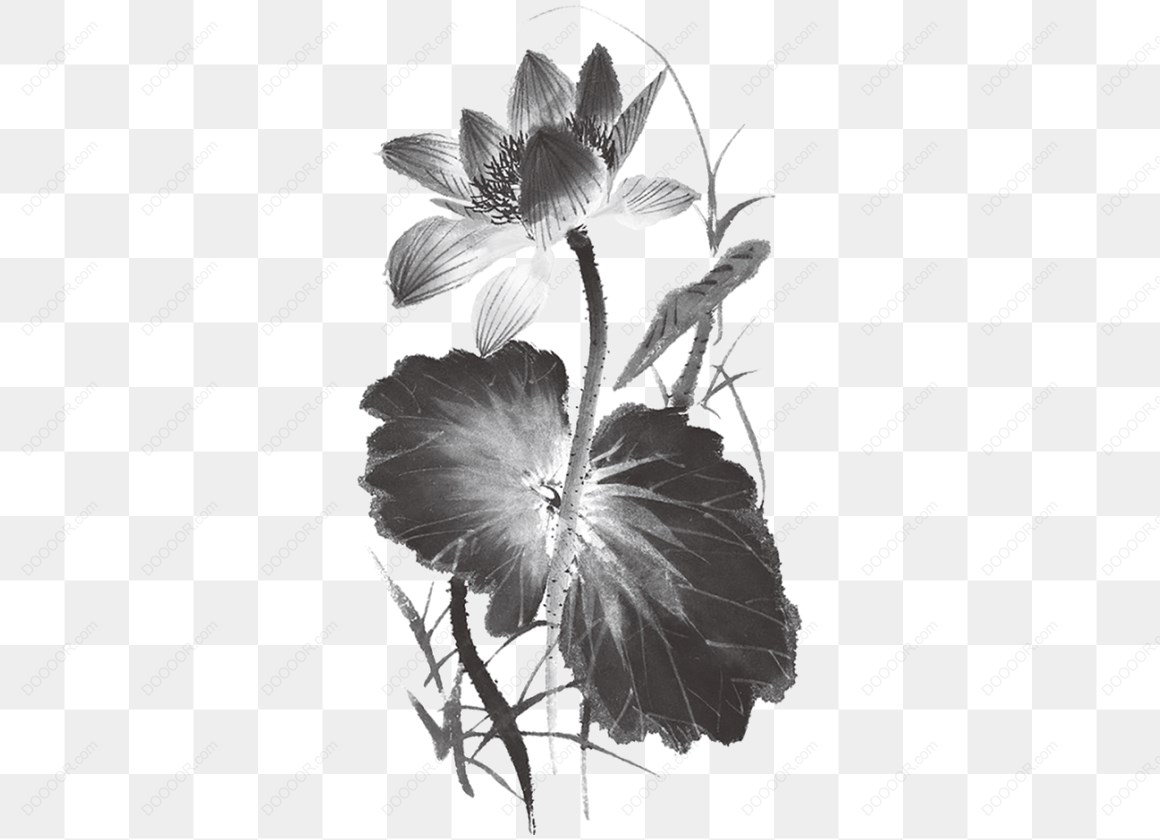 10667_水墨画荷花图案.jpg