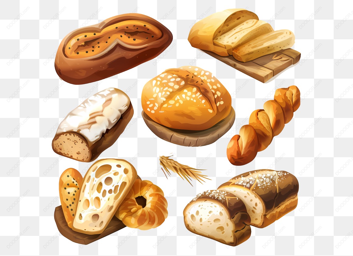 11329_各种面包插图合集.jpg