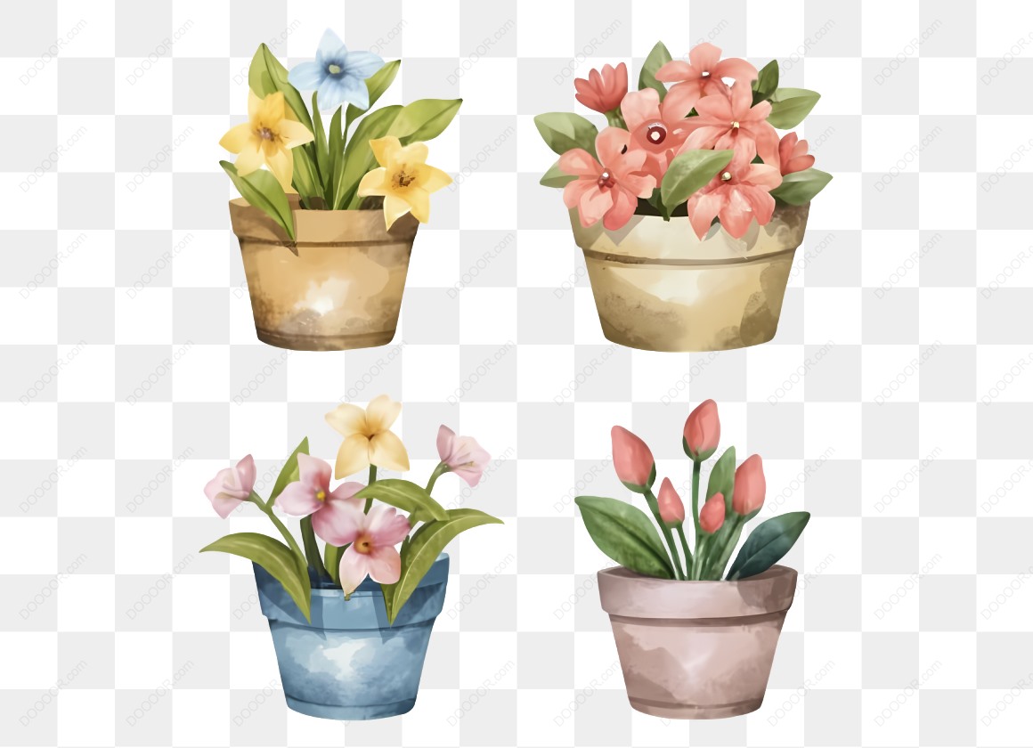 11953_四盆不同颜色的花卉.jpg