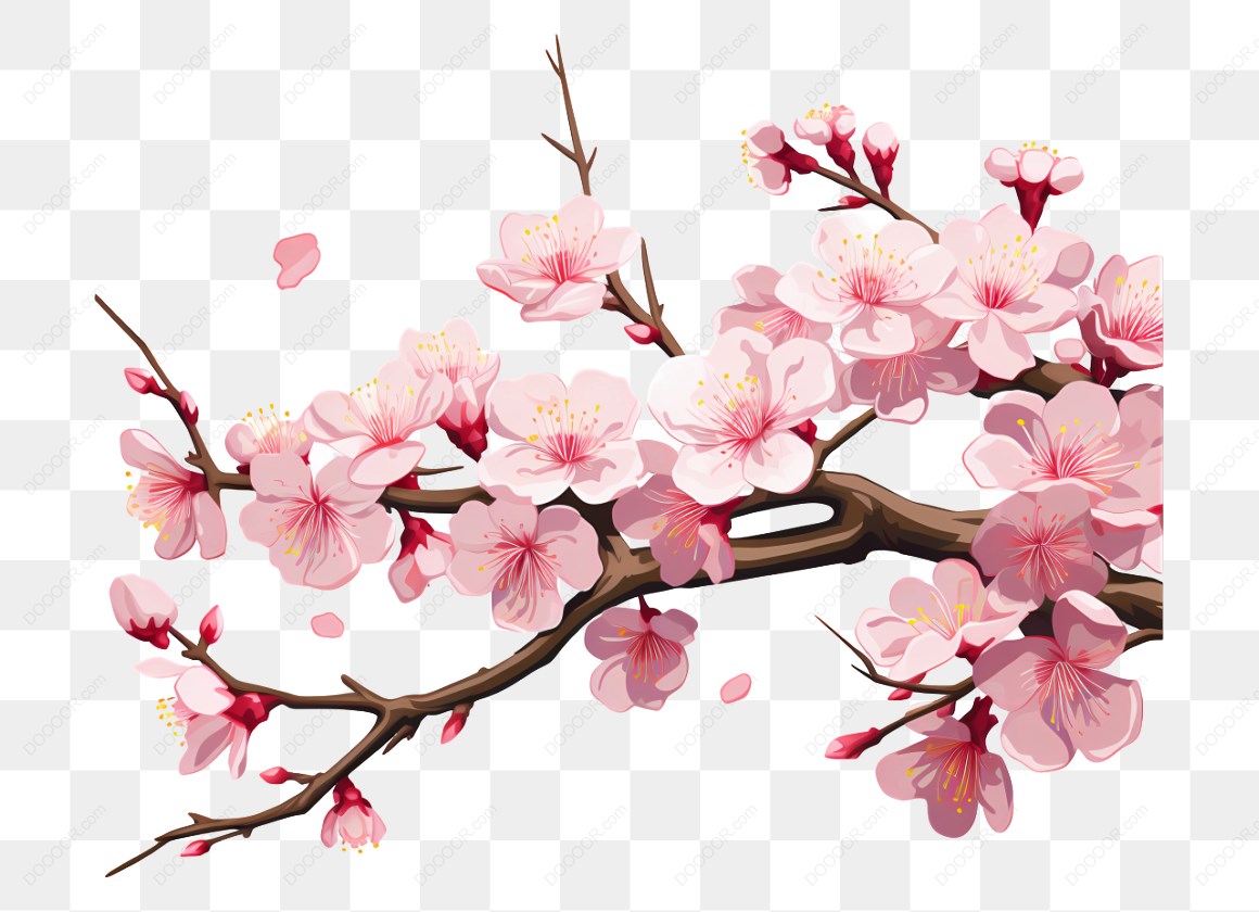 12321_粉色梅花樱花树枝插图_1.jpg