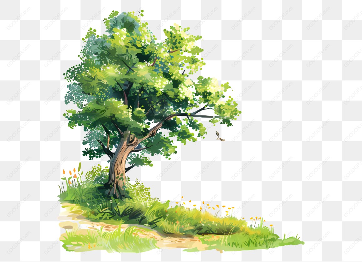 12323_树和草地的插图.jpg