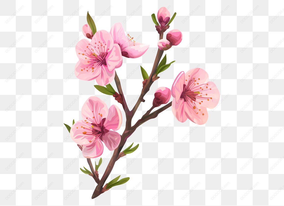 12359_粉色梅花樱花插图_4.jpg